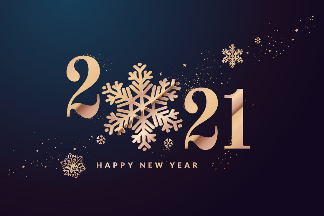 Great NYE Resolution ideas to share between you and your furbabies~!
