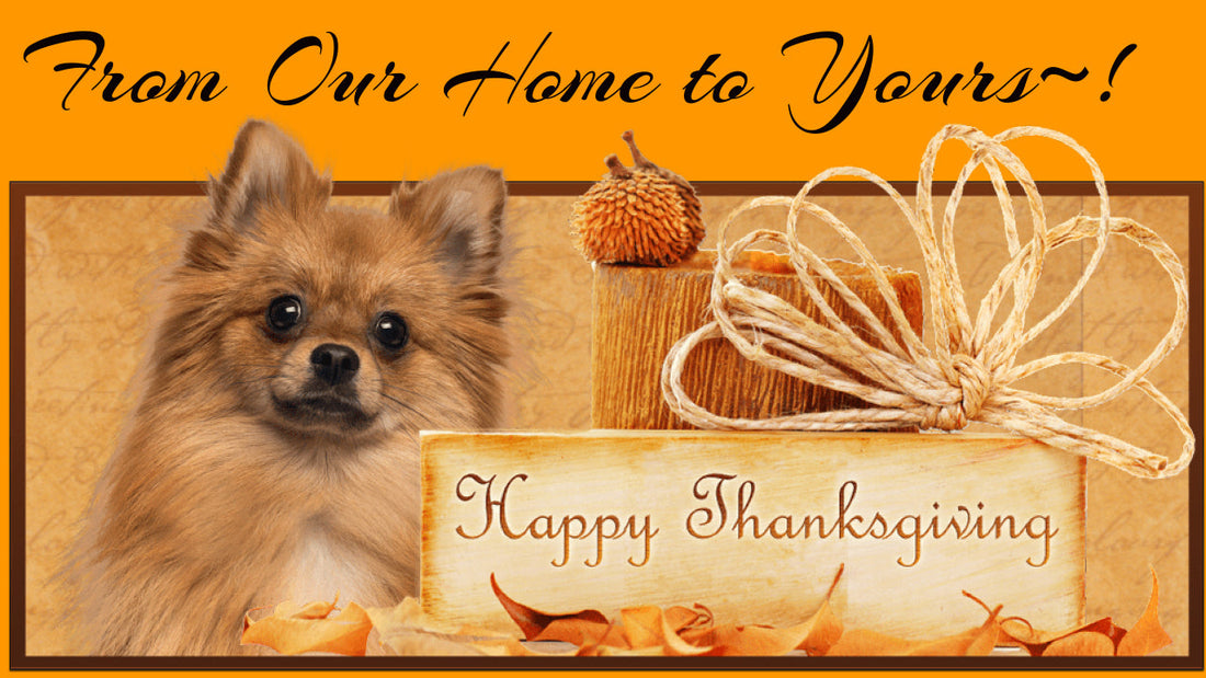 Why not treat your furbaby to their very own Thanksgiving meal this year~!