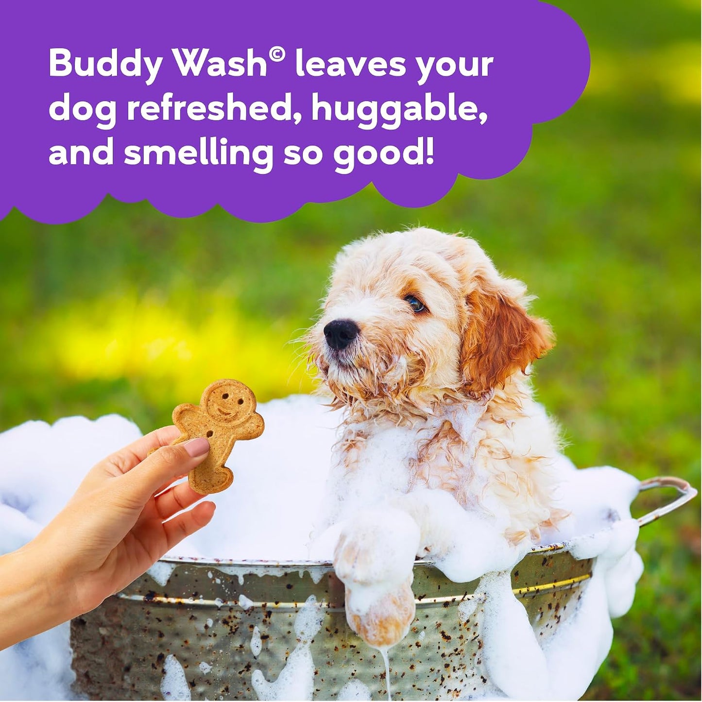 Buddy Wash-Shampoo and conditioner