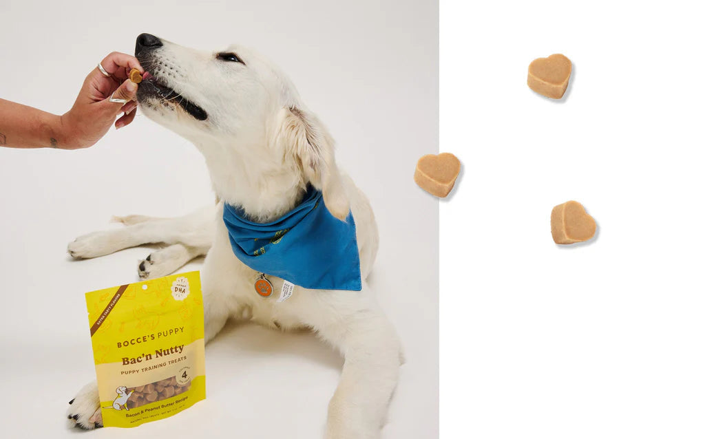 Bocce's Bakery Puppy Training Bites