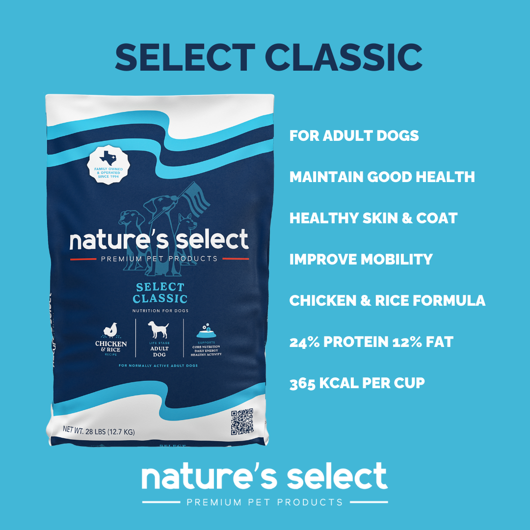 Classic Recipe - Chicken & Rice Dry Dog Food