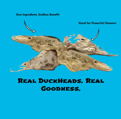 Freeze Dried Duck Heads - Natural Dog Chews