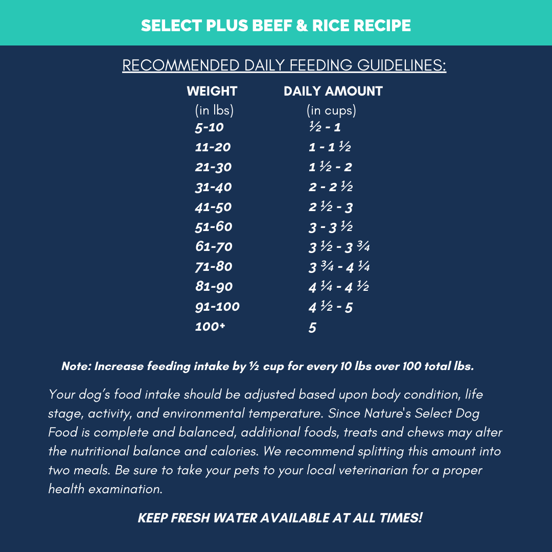 Plus Recipe - Beef & Rice Dry Dog Food
