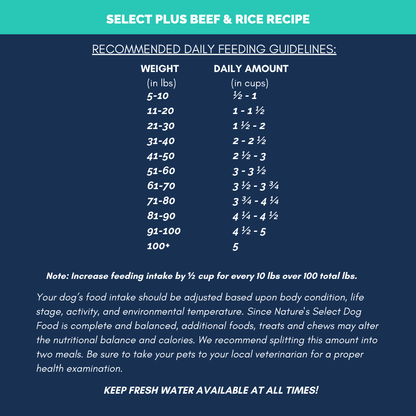 Plus Recipe - Beef & Rice Dry Dog Food