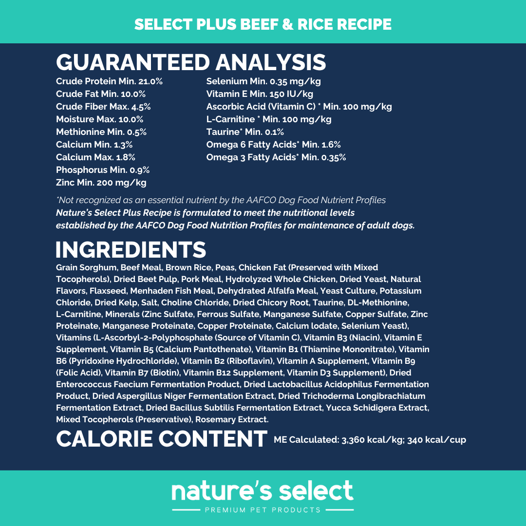 Plus Recipe - Beef & Rice Dry Dog Food