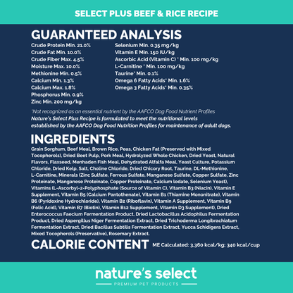 Plus Recipe - Beef & Rice Dry Dog Food