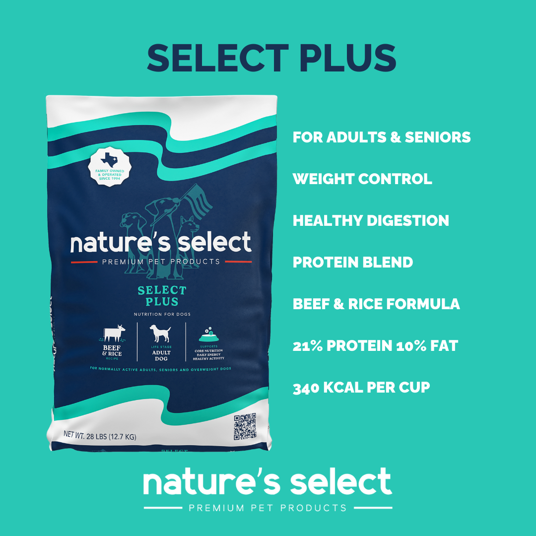 Plus Recipe - Beef & Rice Dry Dog Food