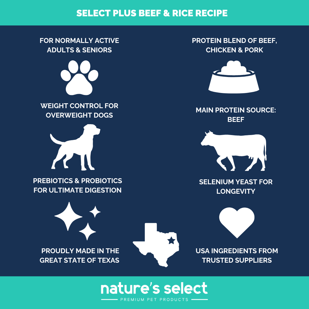 Plus Recipe - Beef & Rice Dry Dog Food
