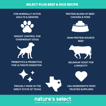 Plus Recipe - Beef & Rice Dry Dog Food