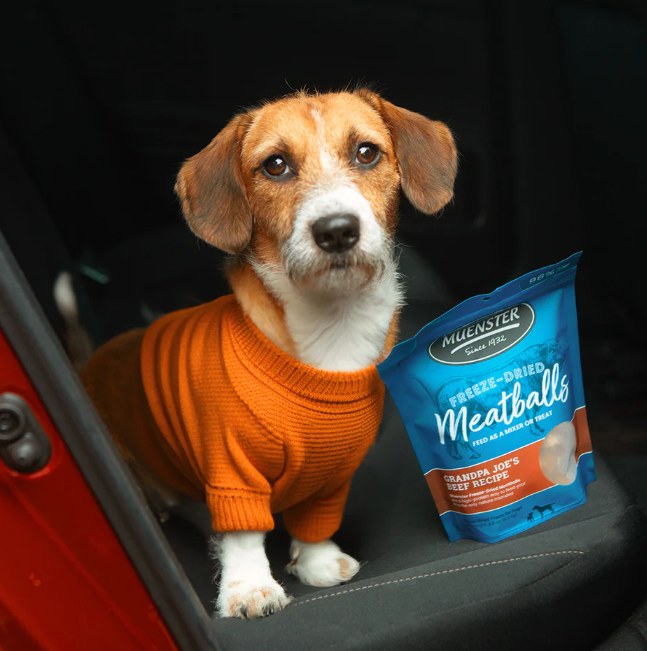 Freeze Dried Beef Meatballs Natural Dog Treats