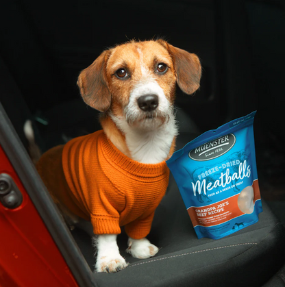Freeze Dried Beef Meatballs Natural Dog Treats