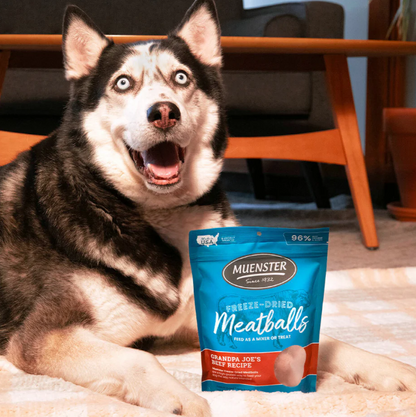 Freeze Dried Beef Meatballs Natural Dog Treats