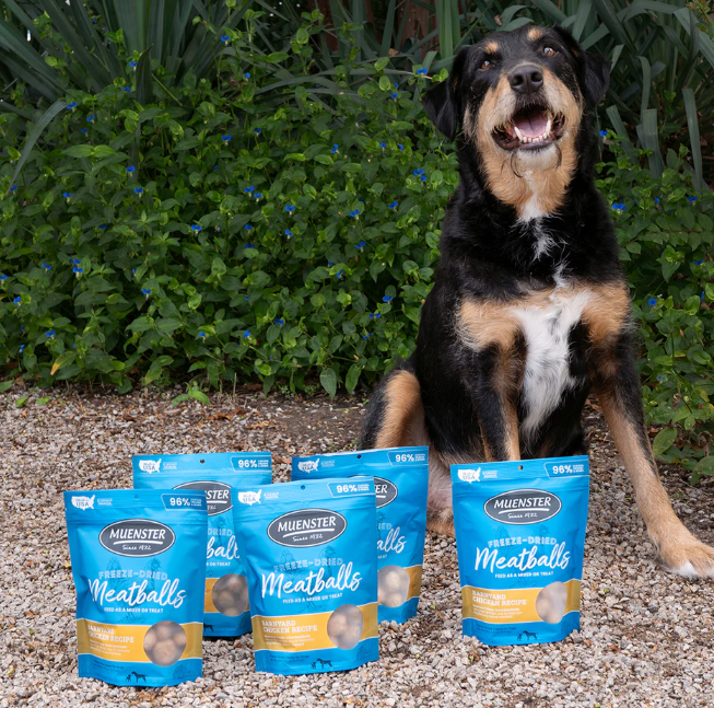 Freeze Dried Chicken Meatballs Quality Dog Treats