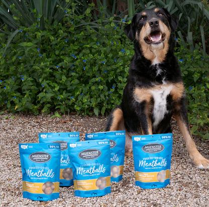 Freeze Dried Chicken Meatballs Quality Dog Treats