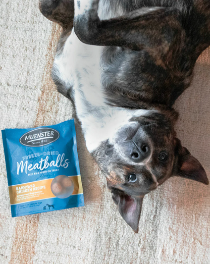 Freeze Dried Chicken Meatballs Quality Dog Treats
