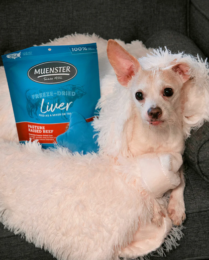 Freeze-Dried All-Beef Liver Natural Dog & Cat Treats