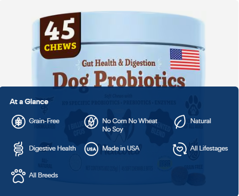 Dog Probiotics Soft Chews: gut health & digestion