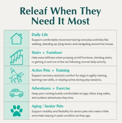 Hip & Joint Releaf CBD Edibites For Dogs – Peanut Butter Banana