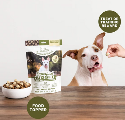 Badlands | Grain-Free superfood nuggets: beef tripe & kale toppers