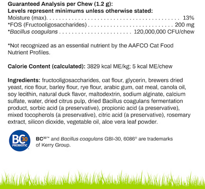 Cat Chews | daily probiotics