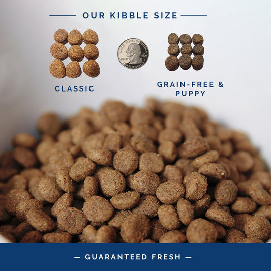 Classic Recipe - Chicken & Rice Dry Dog Food
