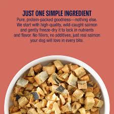 Muenster Wild Salmon Freeze Dried Treats