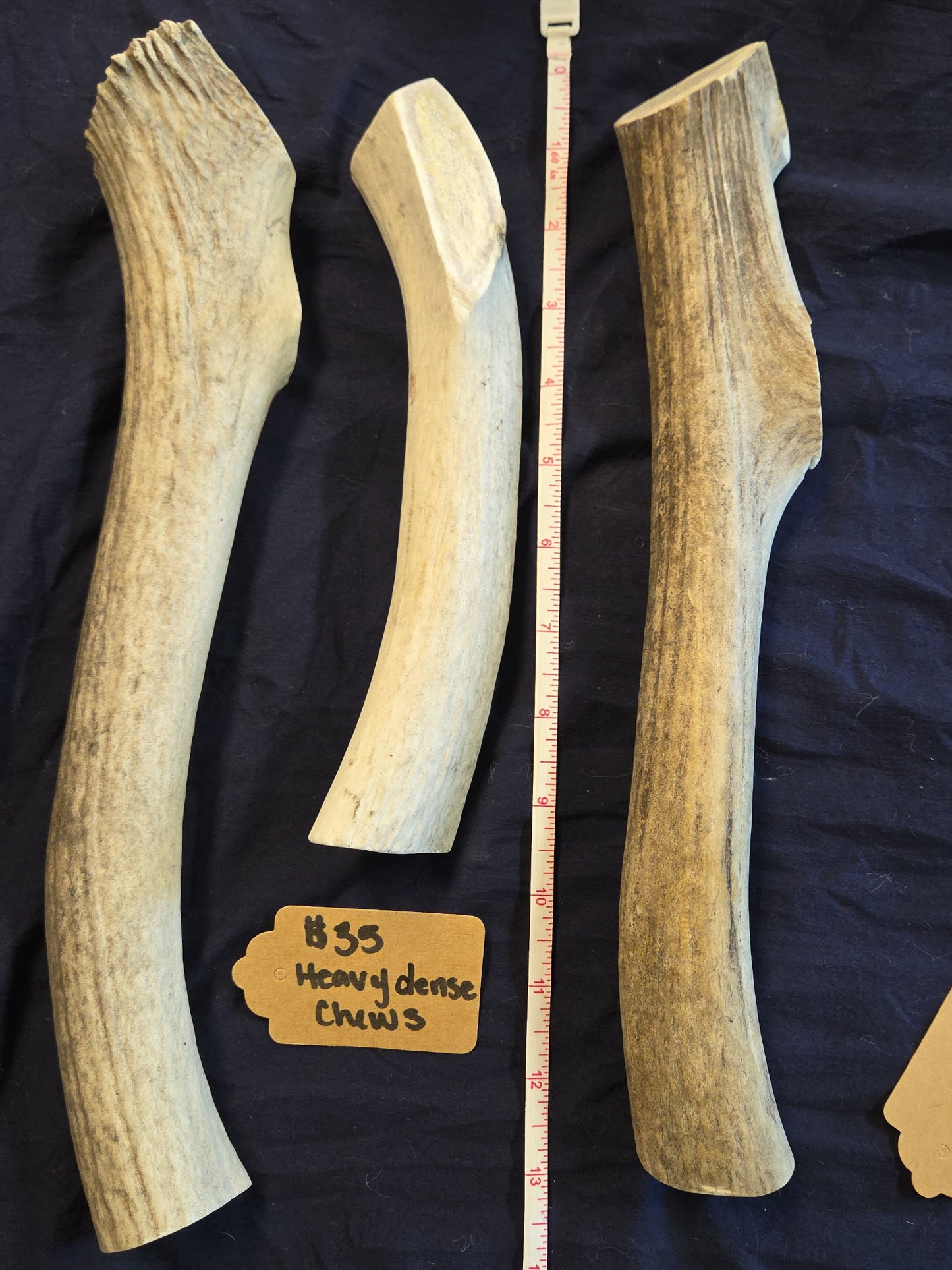Rocky Mountain Antlers