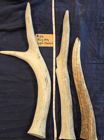 Rocky Mountain Antlers