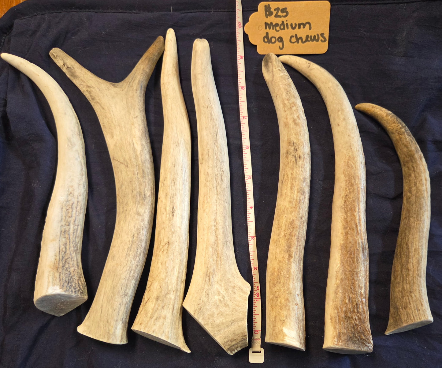 Rocky Mountain Antlers