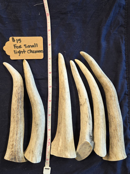 Rocky Mountain Antlers