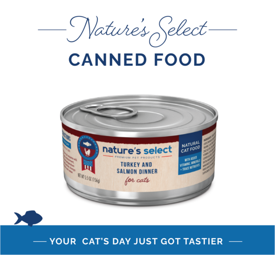 Turkey & Salmon Wet Cat Food | Nature's Select Canned Cat Food | Best wet cat food | Salmon wet cat food | Salmon canned cat food | turkey wet cat food | turkey cat food | best natural cat food | vitamin cat food