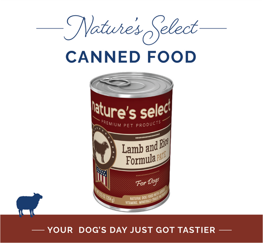 Lamb & Rice Formula Paté Canned Dog Food