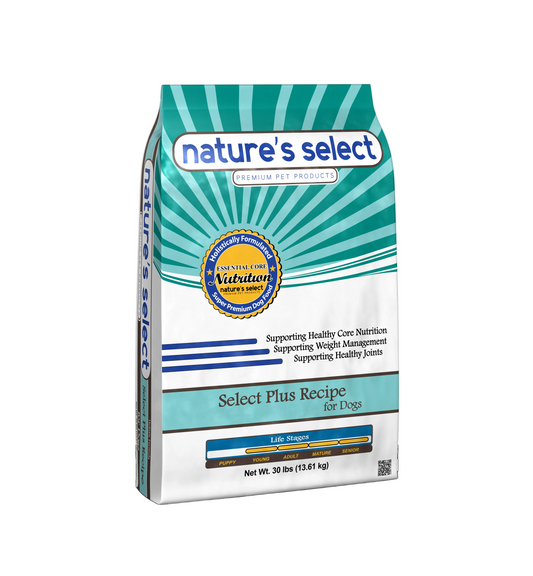 Plus Recipe - Beef & Rice Dry Dog Food