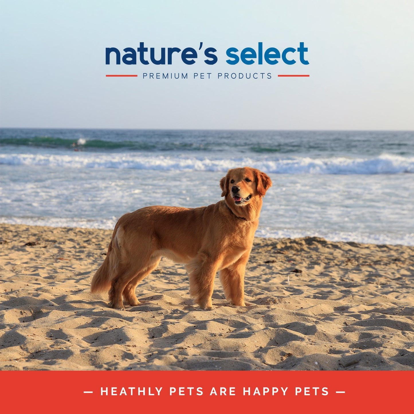 New Zealand Recipe - Lamb & Rice Dry Dog Food - Sensitive Stomach