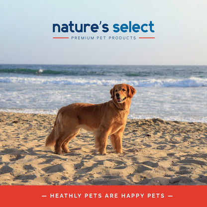 New Zealand Recipe - Lamb & Rice Dry Dog Food - Sensitive Stomach
